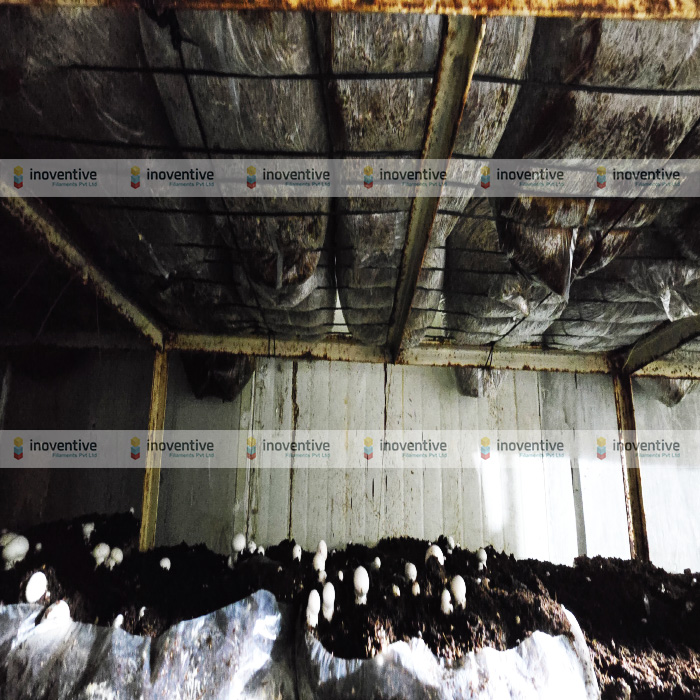 Agrosia Mushroom PET Wire | Best 3mm PET Wire for Mushroom Rack